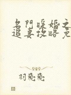 名门暖婚之权爷追妻攻略免费阅读