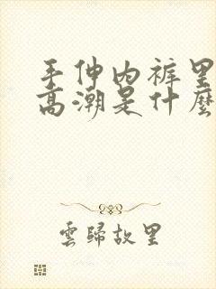 手伸内裤里揉到高潮是什么东西