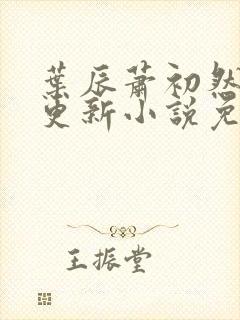 叶辰萧初然最新更新小说免费阅读