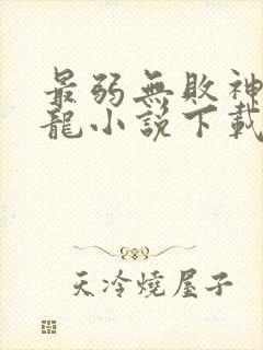 最弱无败神装机龙小说下载