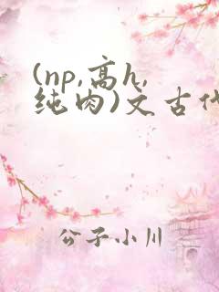 (np,高h,纯肉)文古代
