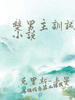 双男主训诫调教小说