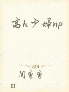 高h少妇np