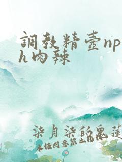 调教精壶np高h肉辣