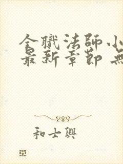 全职法师小说 最新章节 无弹窗