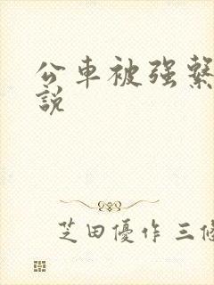 公车被强系列小说
