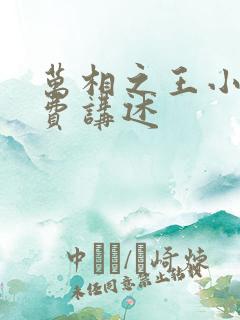 万相之王小说免费讲述