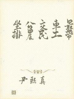 坐公交车最后一排农民工带走