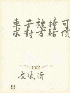 车子被撞可以要求对方赔偿折旧费吗