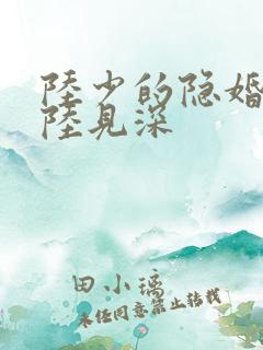 陆少的隐婚罪妻陆见深