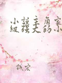 小说主角家族超级强大的小说