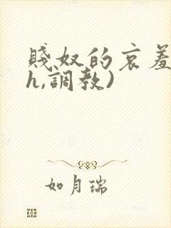 贱奴的哀羞(高h,调教)