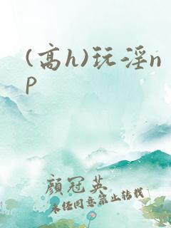 (高h)玩淫np