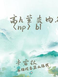 高h荤爽肉欲文〈np〉bl