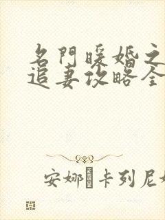 名门暖婚之权爷追妻攻略全文免费阅读