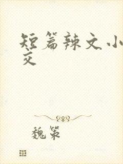 短篇辣文小说公交