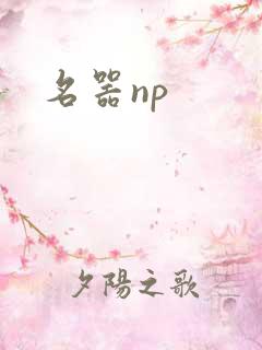名器np