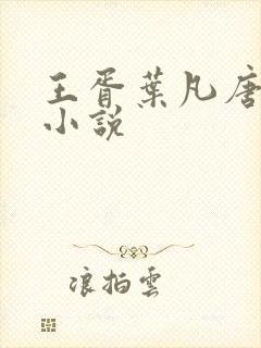 王胥叶凡唐若雪小说