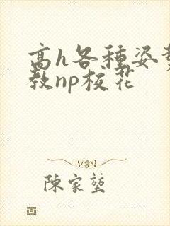 高h各种姿势调教np校花