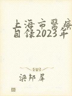 上海市医疗收费目录2023年