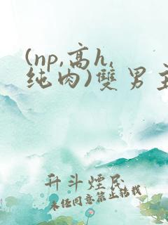 (np,高h,纯肉)双男主