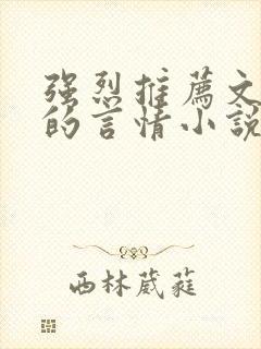 强烈推荐文笔好的言情小说