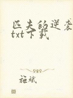 匹夫的逆袭全本txt下载
