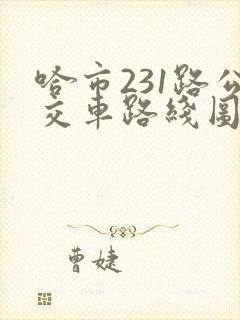 哈市231路公交车路线图