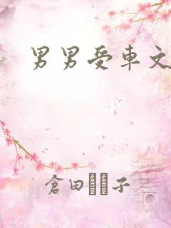 男男受车文