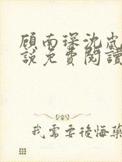 顾南琛沈岚晚小说免费阅读最新章节更新