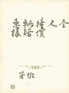车辆撞人全责怎样赔偿