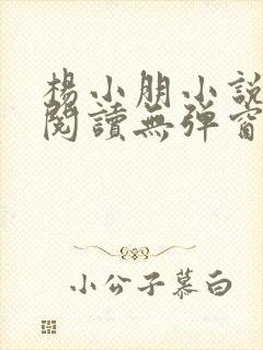 杨小朋小说免费阅读无弹窗