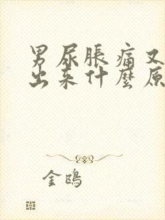 男尿胀痛又拉不出来什么原因