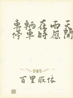 车辆在雨天临时停车时应开启什么灯