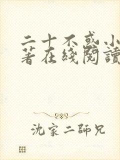 二十不惑小说原著在线阅读