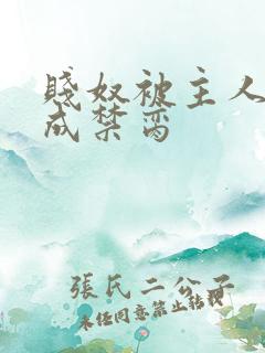 贱奴被主人调教成禁脔 贱奴被主人调教成禁脔