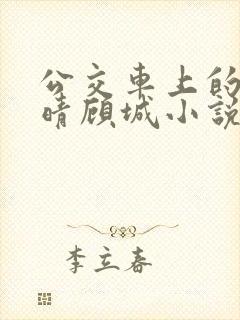 公交车上的诗请晴顾城小说