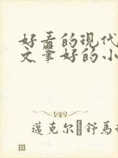 好看的现代言情文笔好的小说