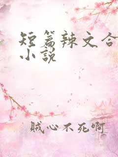 短篇辣文合集的小说