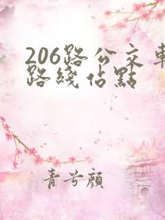 206路公交车路线站点