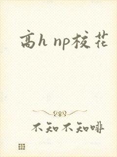 高h np校花