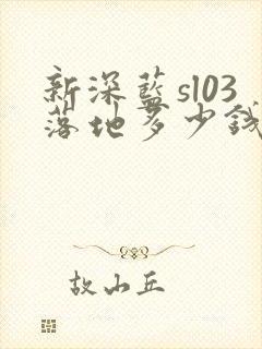 新深蓝sl03落地多少钱