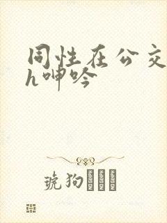 同性在公交车上h呻吟