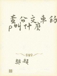 查公交车的app叫什么