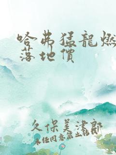 哈弗猛龙燃油版落地价