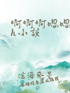 啊啊啊嗯嗯嗯高h小说