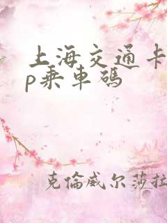 上海交通卡app乘车码 上海交通卡app乘车码