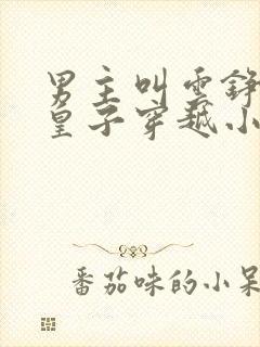 男主叫云铮的六皇子穿越小说