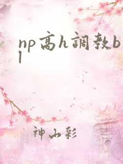 np高h调教bl
