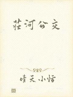 庄河公交